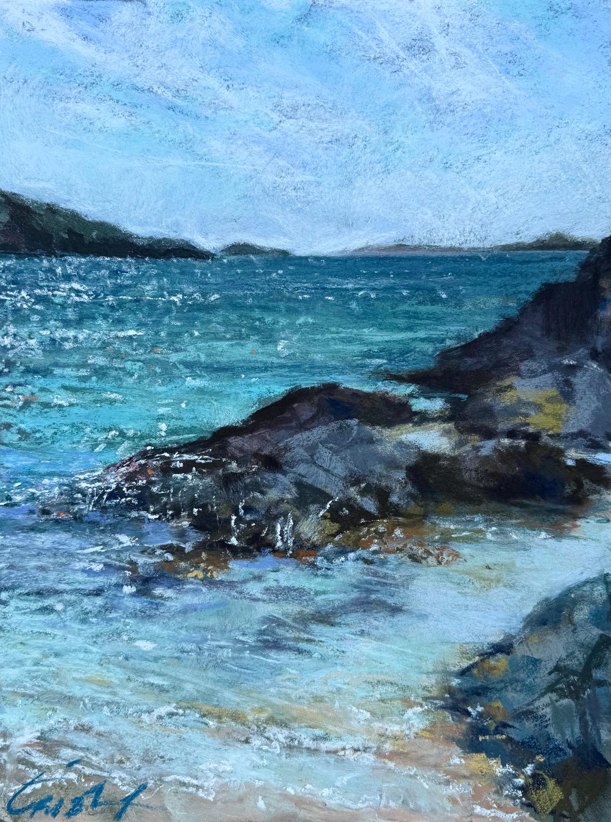 004. Ebb tide rock pool, Glassilaun beach. Galway.