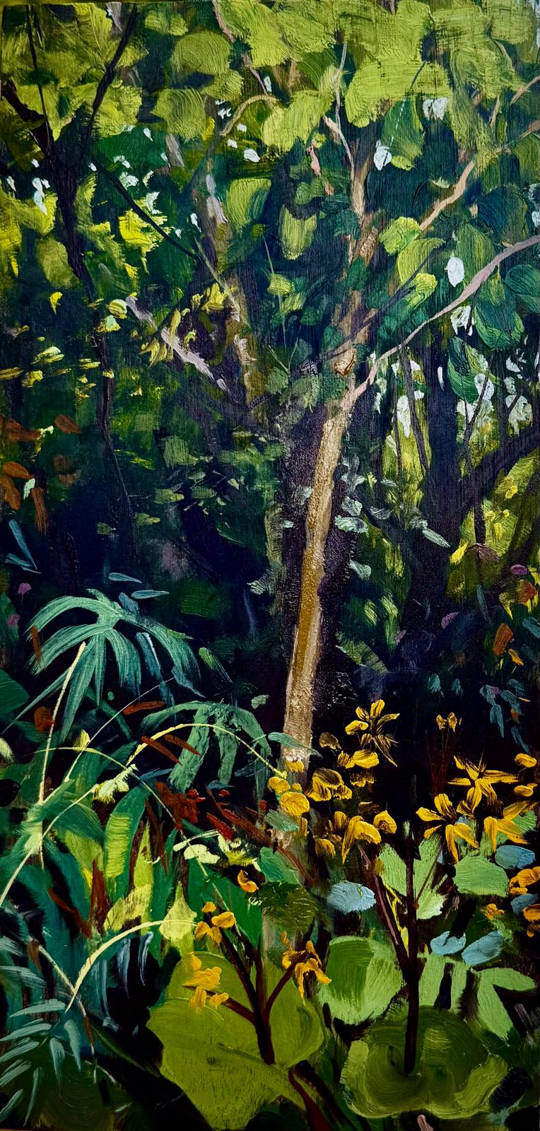 282. The Paulownia tree