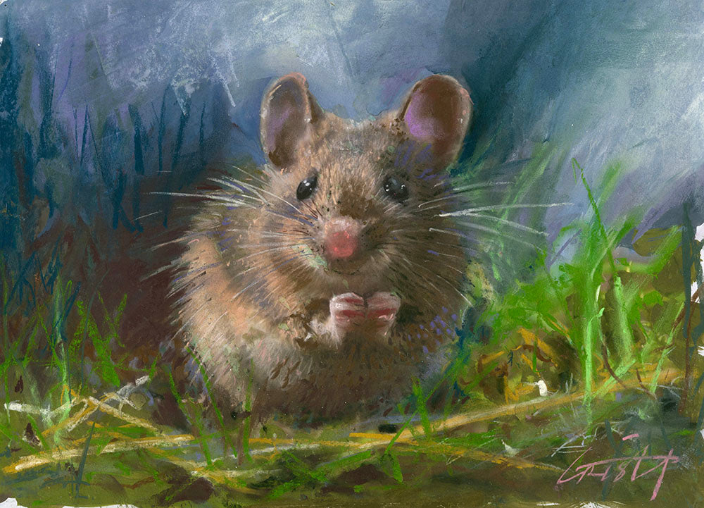 67. Little Wood Mouse