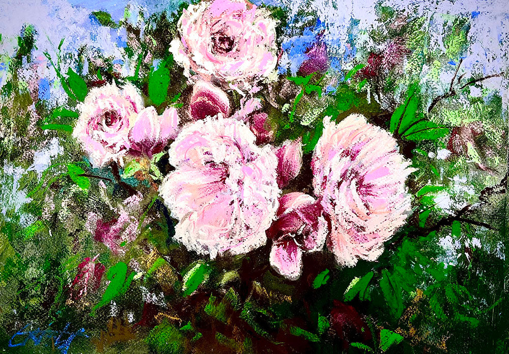 66. Your Albertine Rose