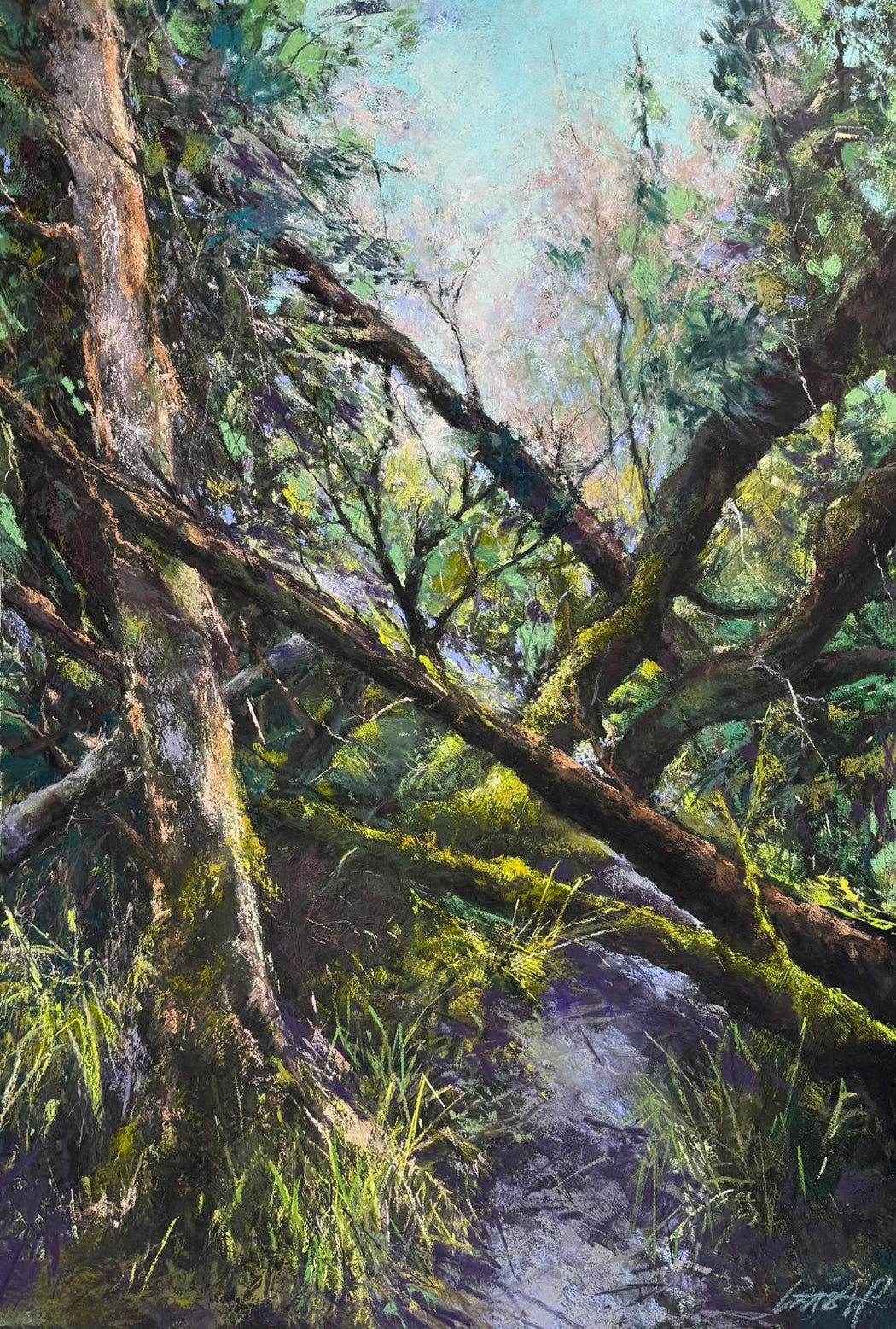 21. Where trees remember