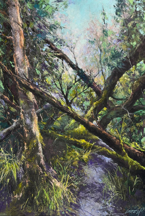 21. Where trees remember