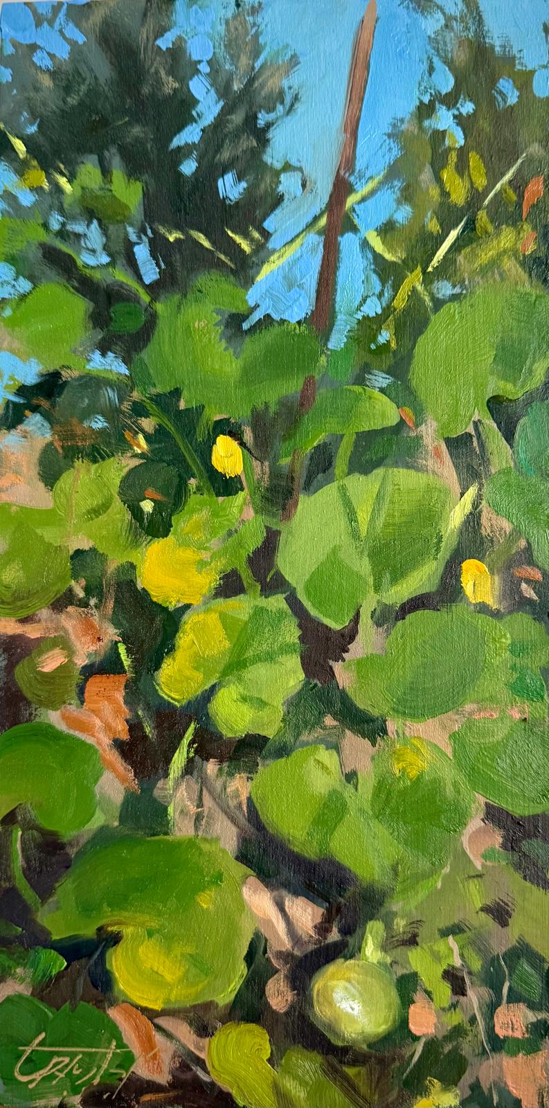 000003. Giuseppe’s Pumpkin patch