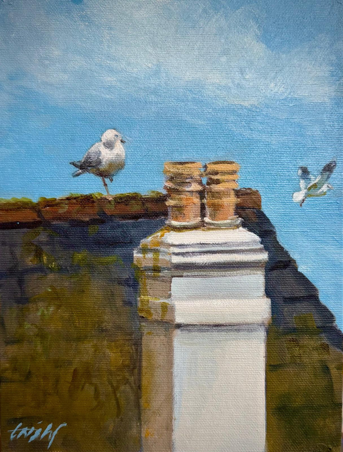 000009. Fowey roof top
