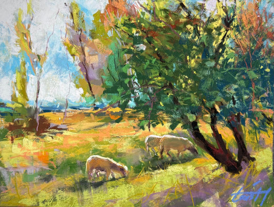 0000004. Sheep grazing at Castello Magrano Umbria