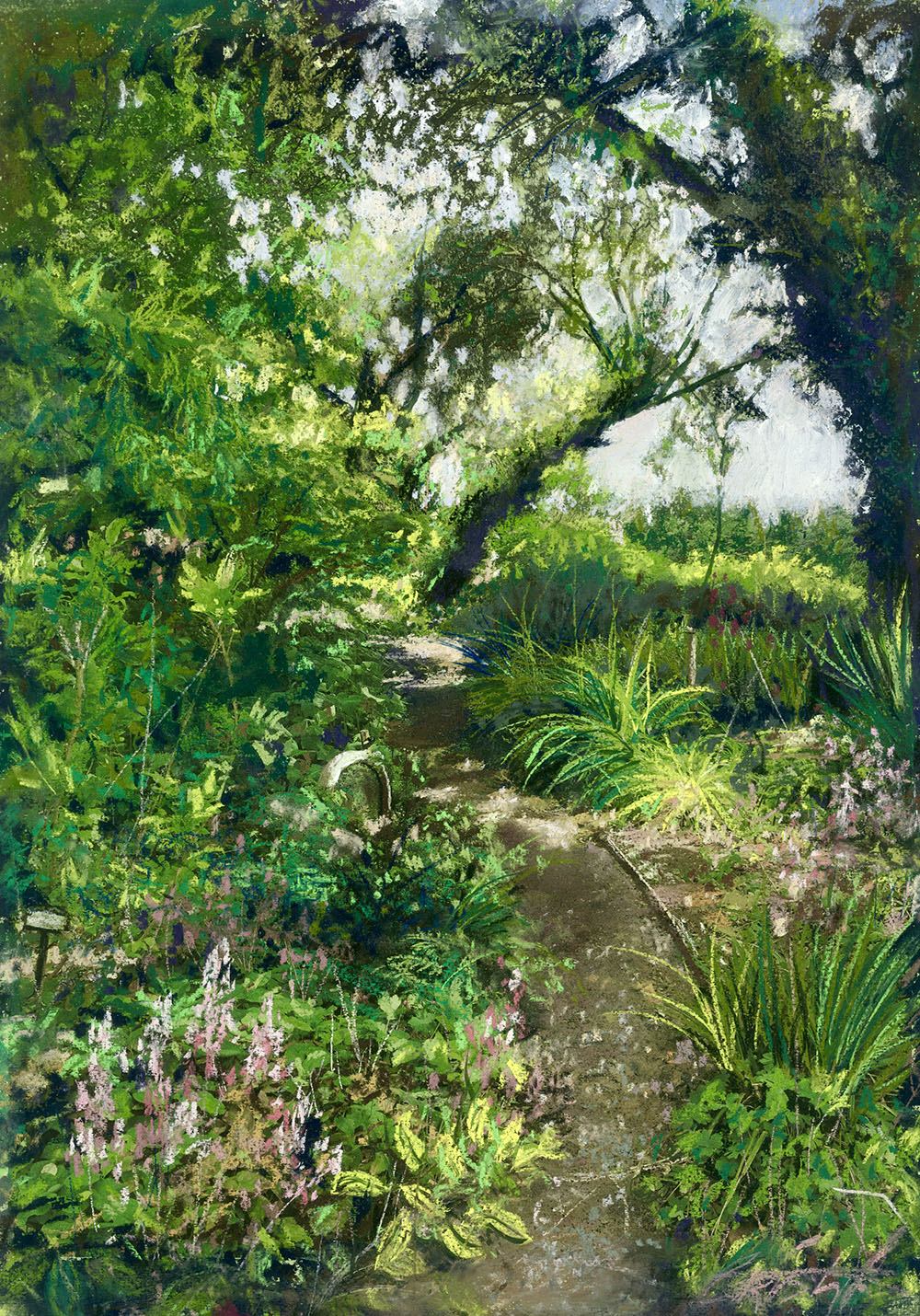 50.Woodland Walk at Glennina