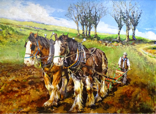 Eamon Ploughing with Bobo & Clyde