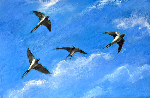Swallows Fly South
