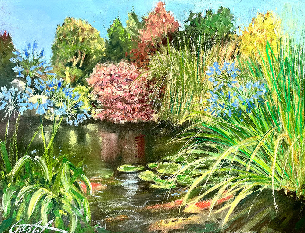 Garden Pond Life