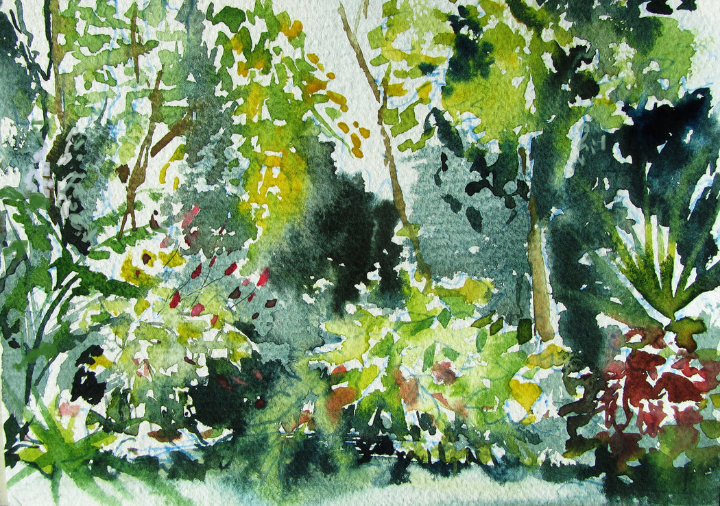 Alex's Garden